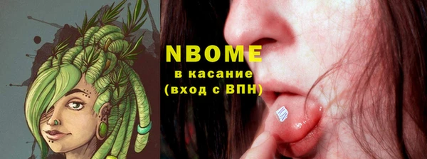 индика Михайлов