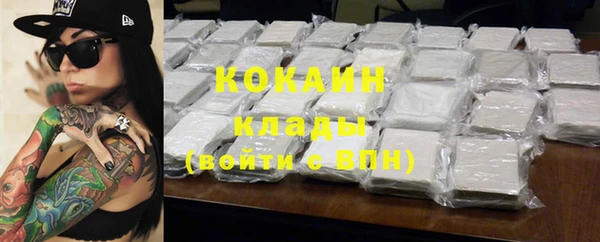 индика Михайлов