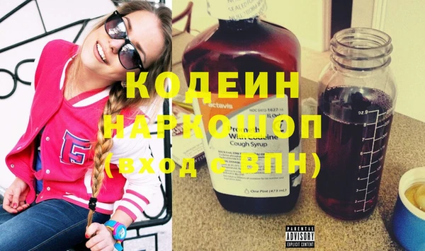 индика Михайлов