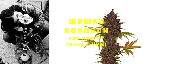 индика Михайлов