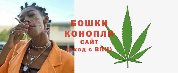 индика Михайлов