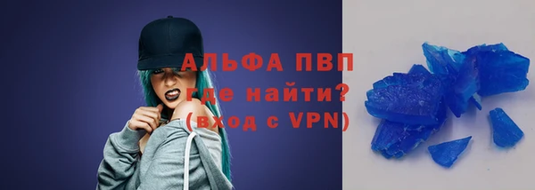 индика Михайлов
