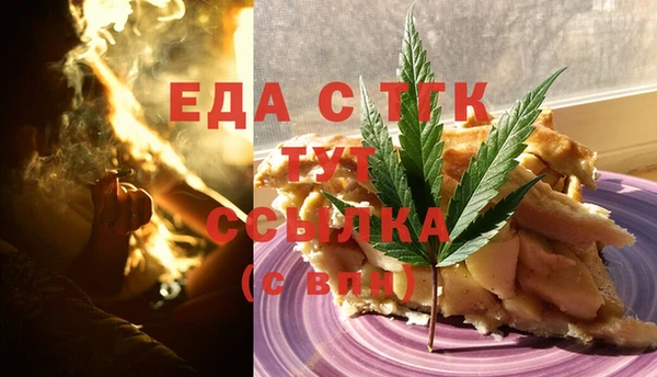 индика Михайлов