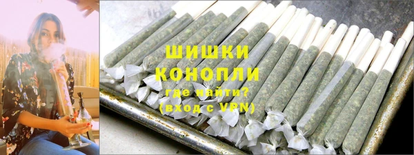 индика Михайлов