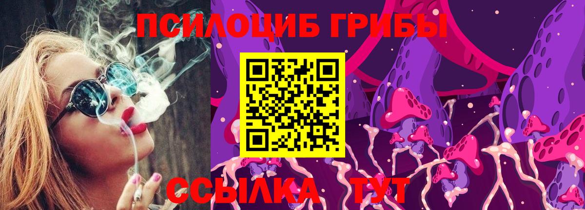 Галлюциногенные грибы Cubensis Георгиевск