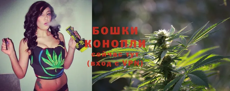 Бошки марихуана OG Kush  где продают   Георгиевск 